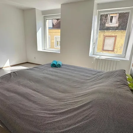 Appartement Splendide 8 Personnes Mulhouse