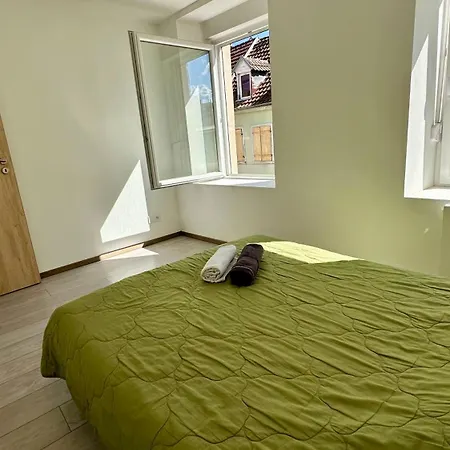 Splendide 8 Personnes Appartement Mulhouse
